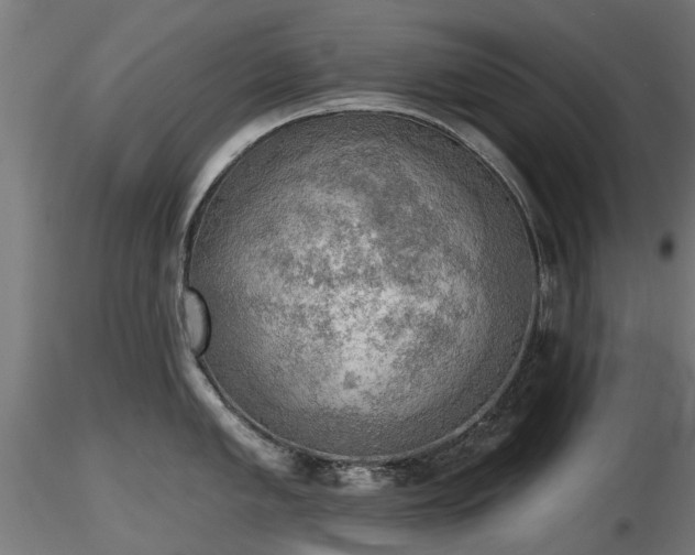 X0000116831005200912241223