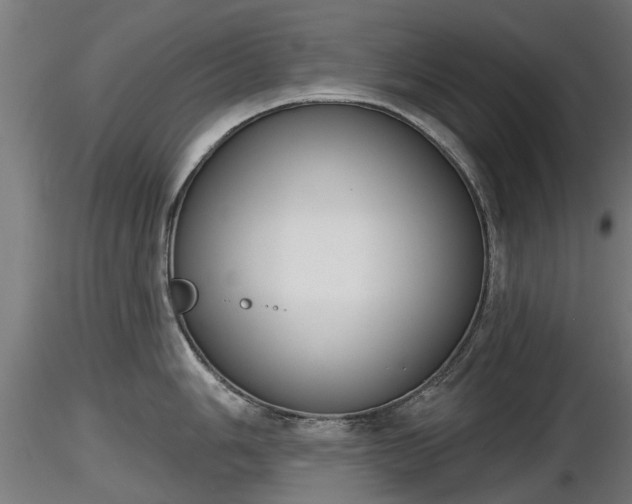 X0000116831006200912241223