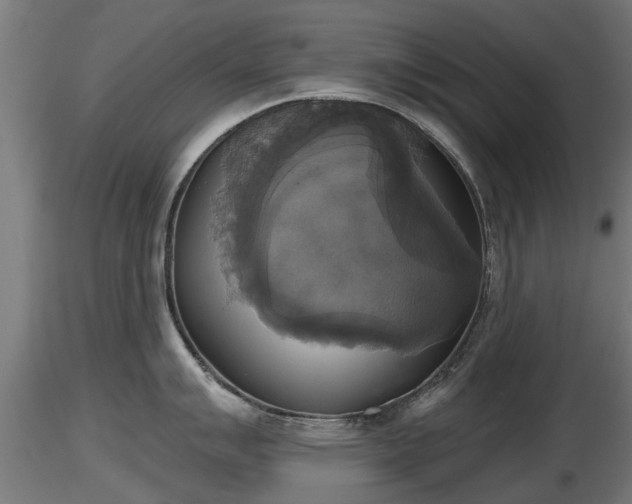 X0000116831007200912241223