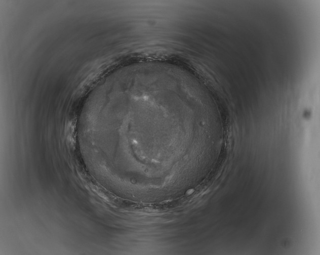 X0000116831010200912241222