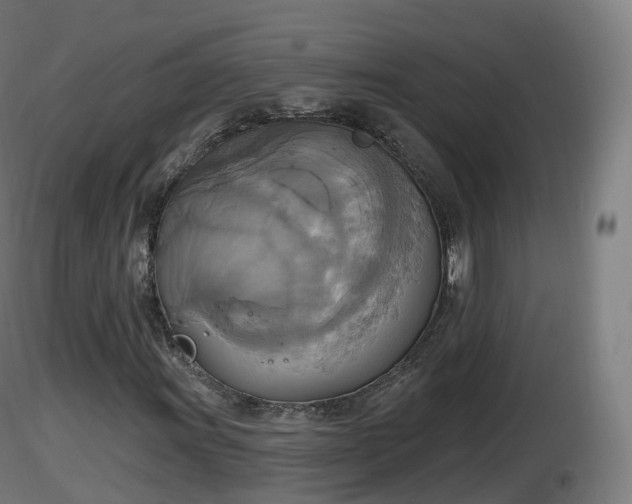 X0000116831011200912241222