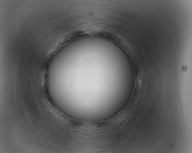 X0000116831012200912241222