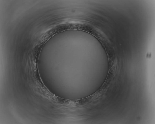 X0000116831013200912241222