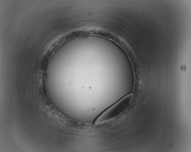 X0000116831016200912241222