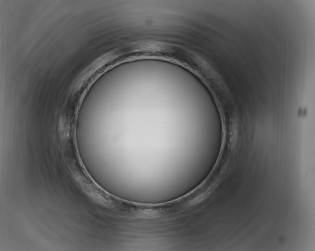 X0000116831017200912241222