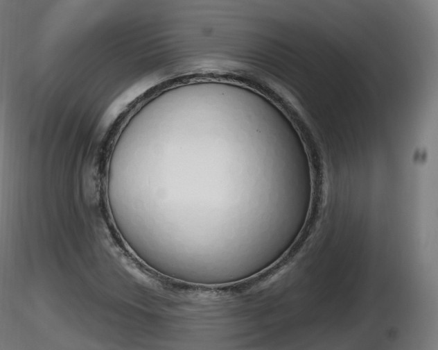 X0000116831018200912241222