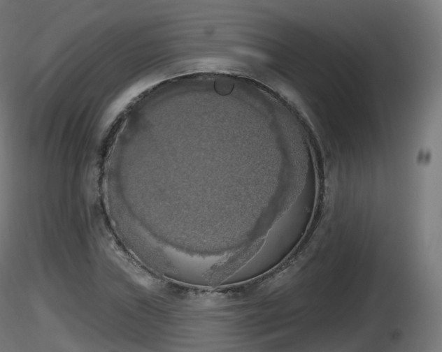 X0000116831019200912241222