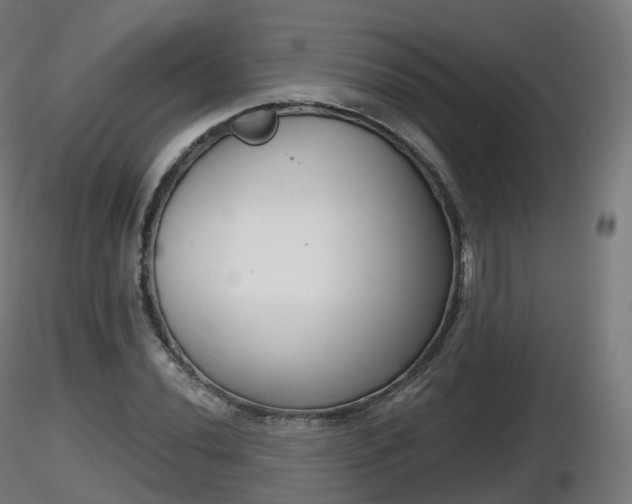 X0000116831020200912241222