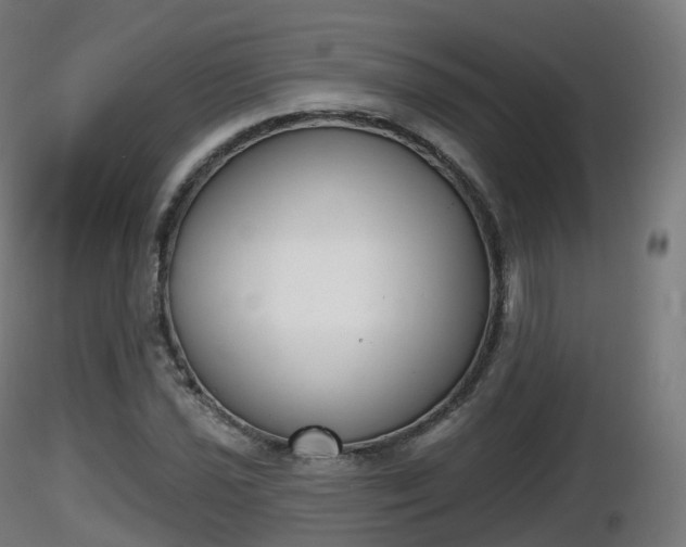 X0000116831021200912241222