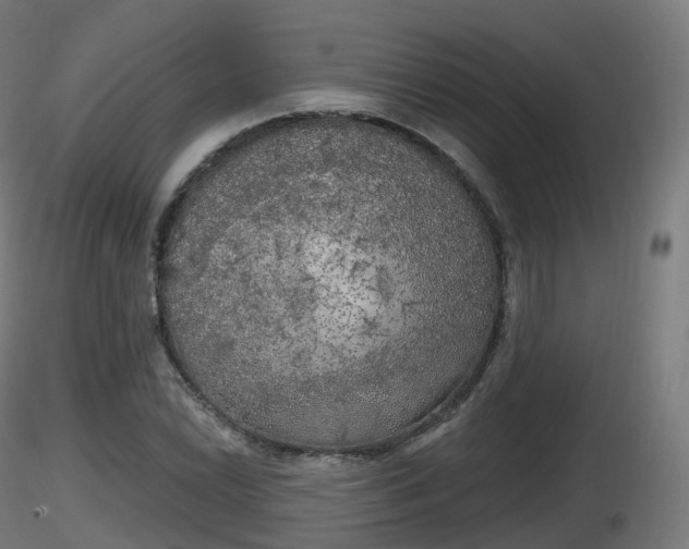 X0000116831022200912241222