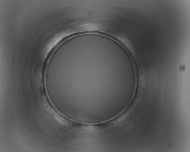 X0000116831023200912241222