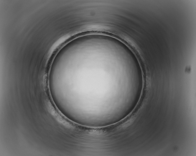 X0000116831029200912241222
