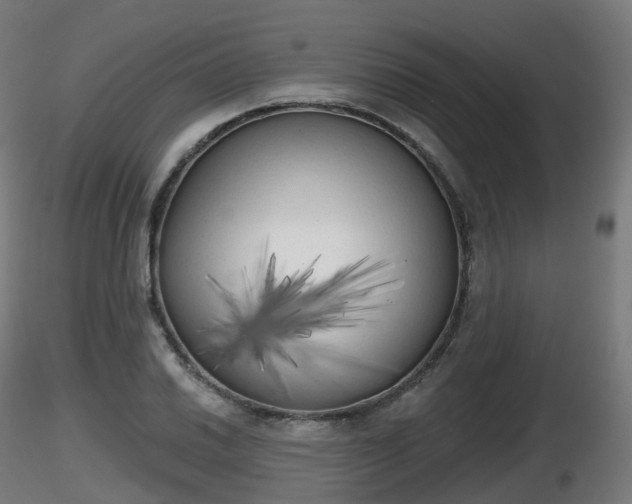 X0000116831030200912241222