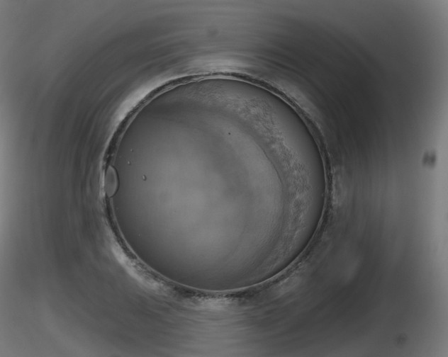 X0000116831031200912241222