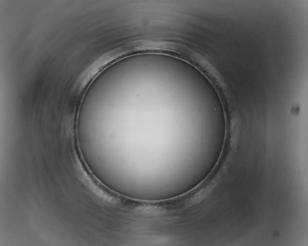 X0000116831033200912241222