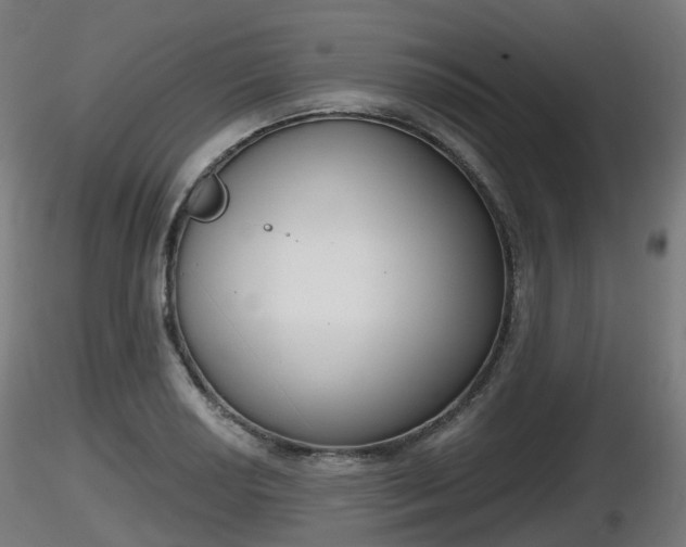 X0000116831034200912241222