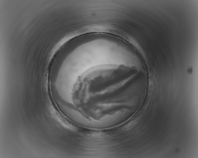 X0000116831035200912241222
