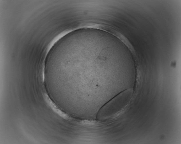 X0000116831036200912241222
