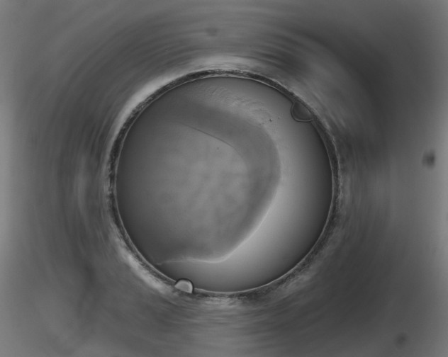 X0000116831037200912241222