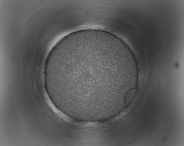 X0000116831038200912241222
