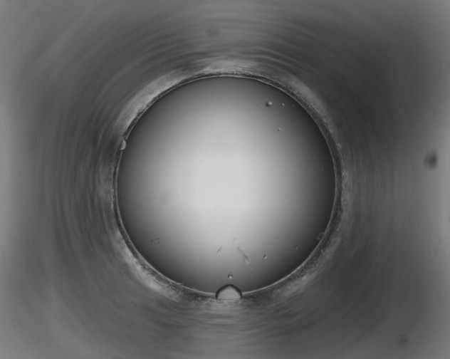 X0000116831041200912241222