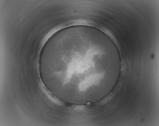 X0000116831043200912241222