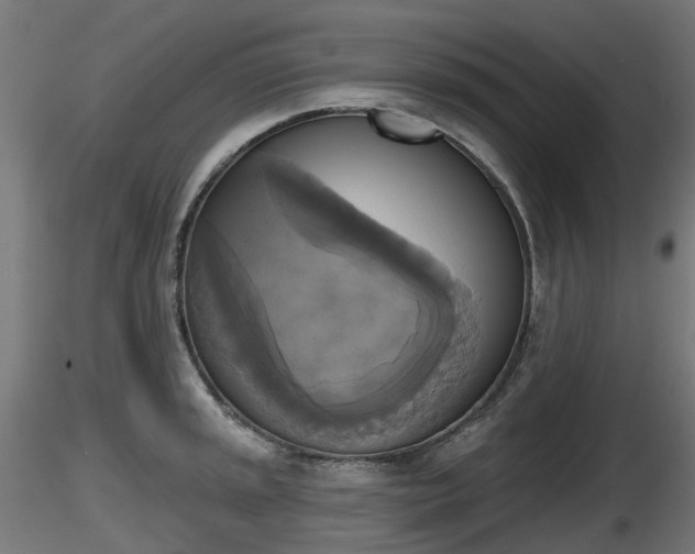 X0000116831045200912241222