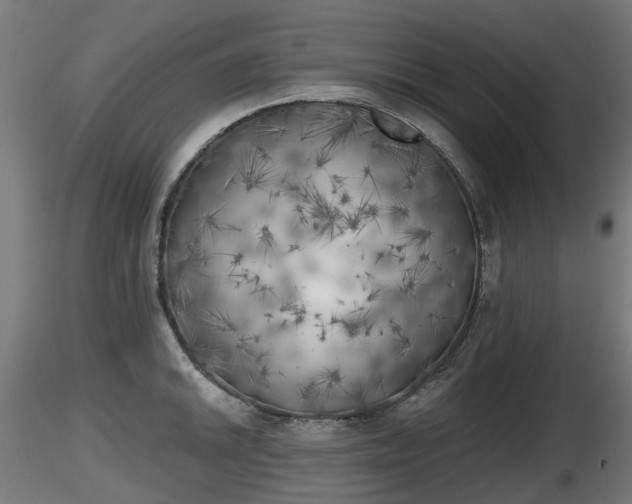 X0000116831046200912241222