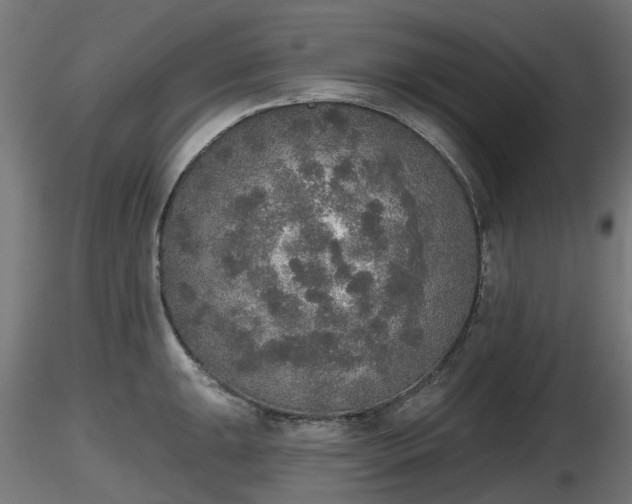 X0000116831047200912241222