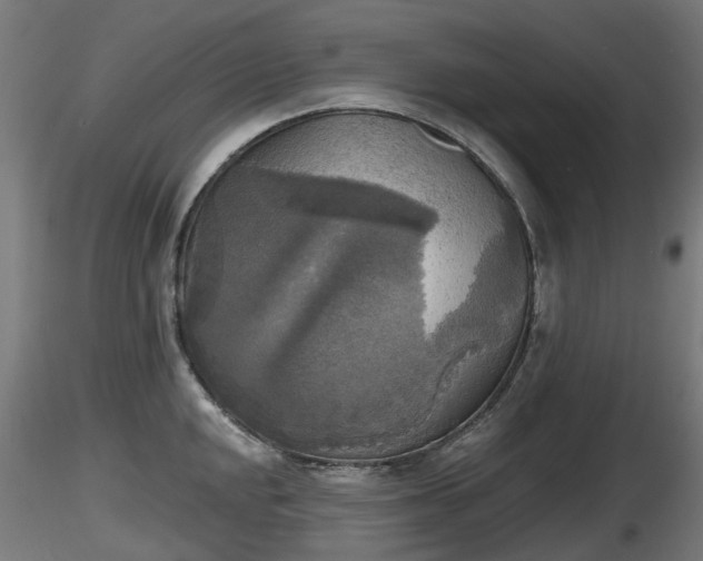 X0000116831048200912241222
