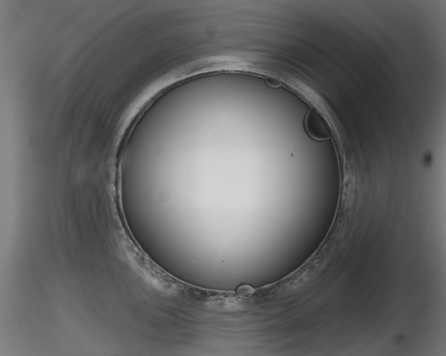 X0000116831051200912241222