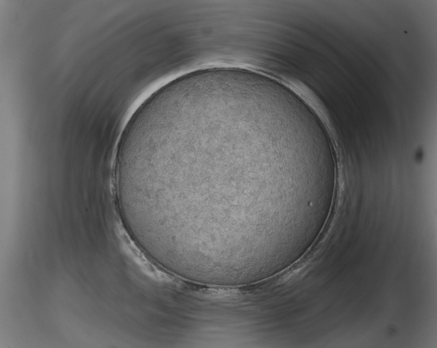 X0000116831052200912241222