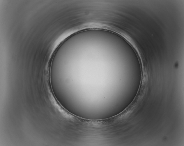 X0000116831053200912241222