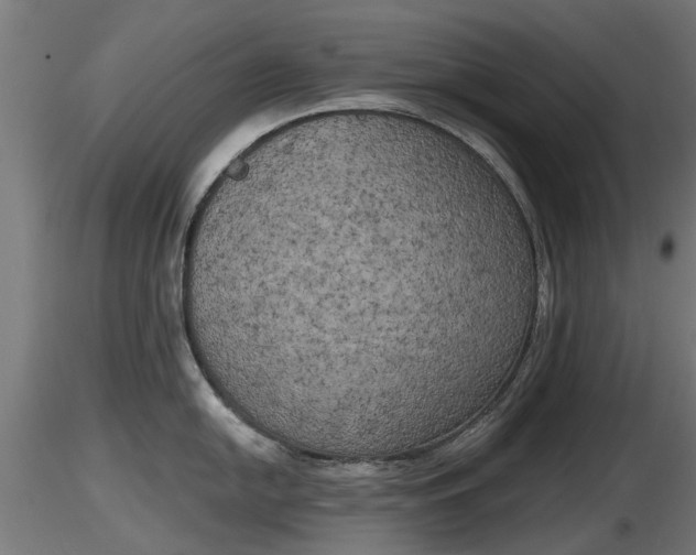 X0000116831054200912241222