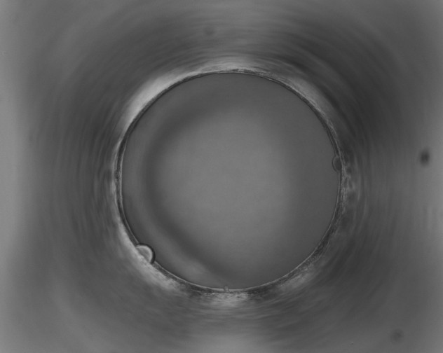 X0000116831055200912241223