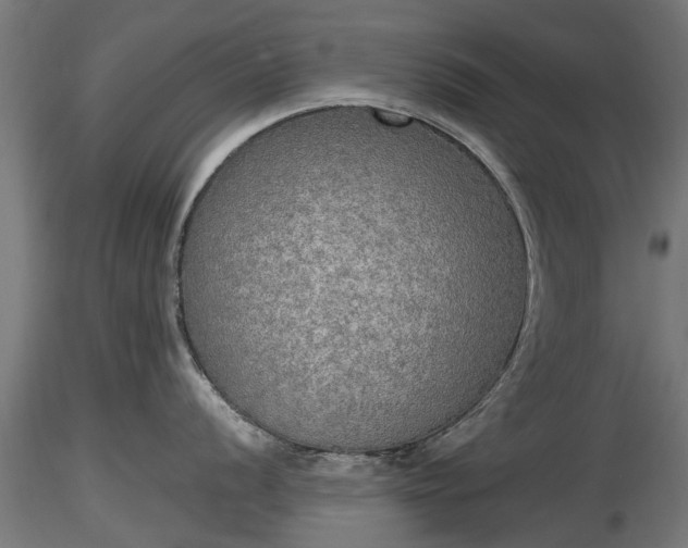 X0000116831056200912241223