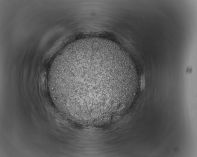 X0000116831059200912241222