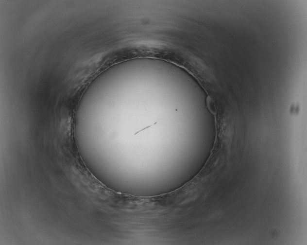 X0000116831061200912241222