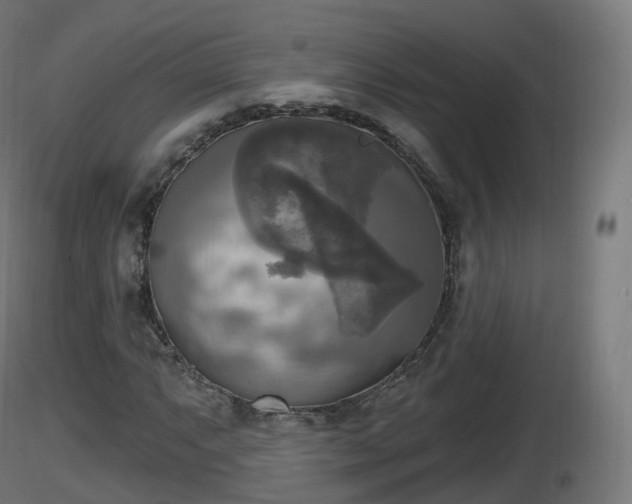 X0000116831063200912241222