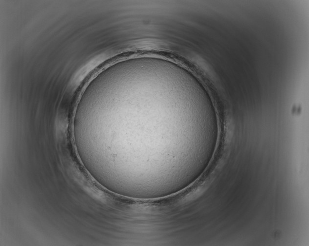 X0000116831065200912241222