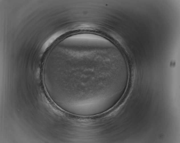 X0000116831066200912241222