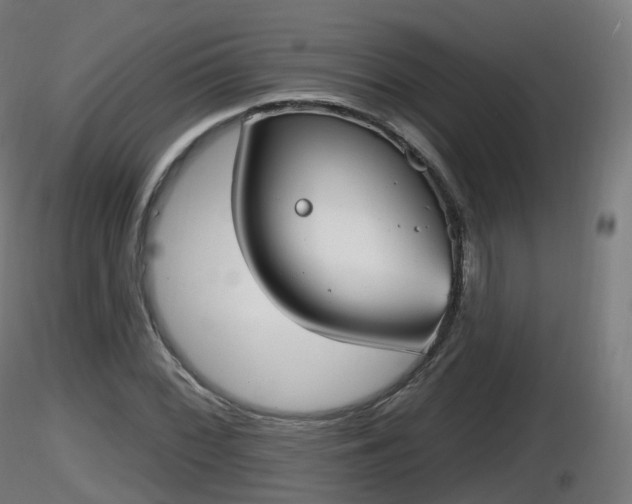 X0000116831068200912241222