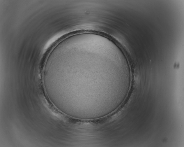 X0000116831070200912241222