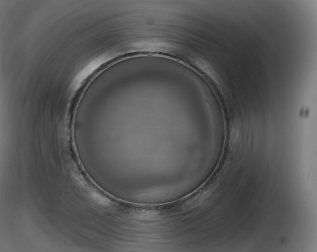 X0000116831071200912241222