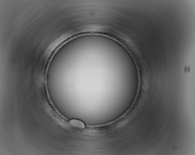 X0000116831073200912241222