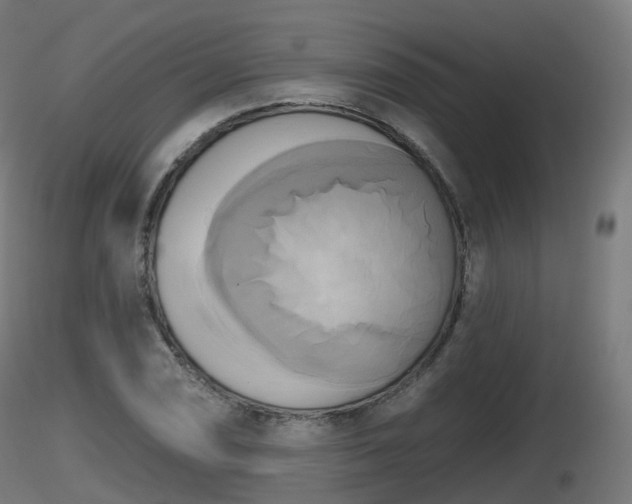 X0000116831074200912241222