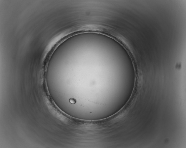 X0000116831075200912241222