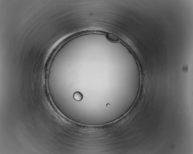 X0000116831076200912241222