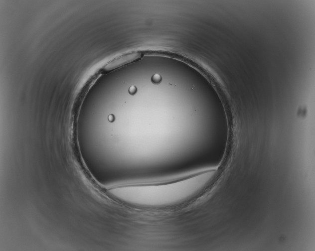 X0000116831077200912241222