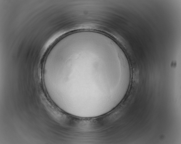 X0000116831078200912241222